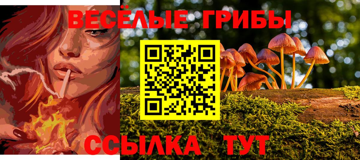 Амурск  Псилоцибиновые грибы Magic Shrooms  Вход с VPN 