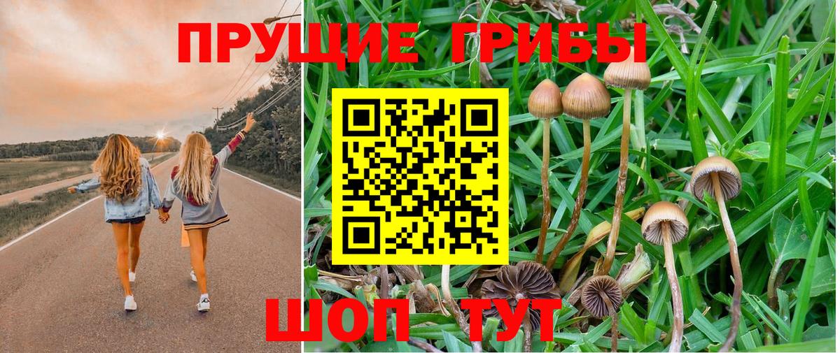 Псилоцибиновые грибы Magic Shrooms Амурск